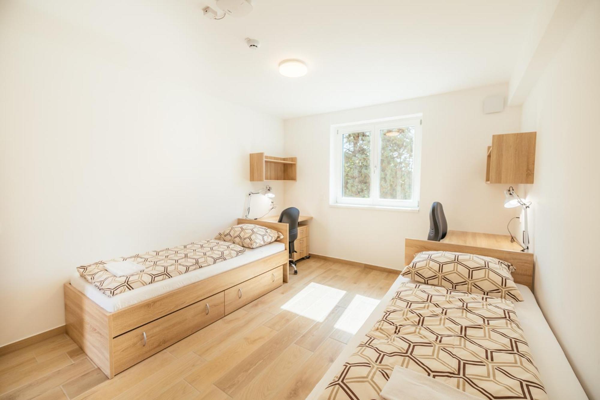Prenocisca Prisoje Hostel Koper Bagian luar foto