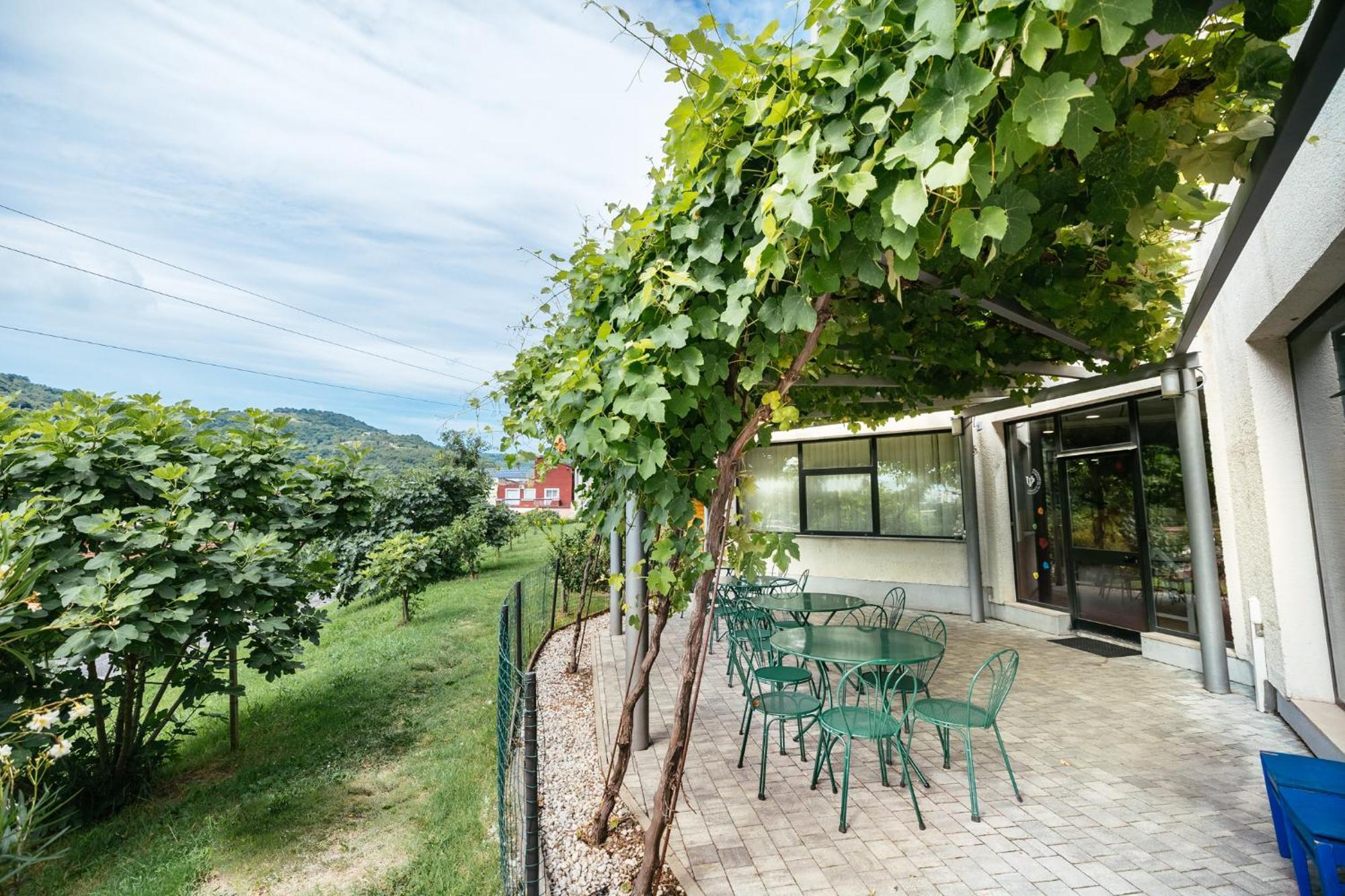 Prenocisca Prisoje Hostel Koper Bagian luar foto