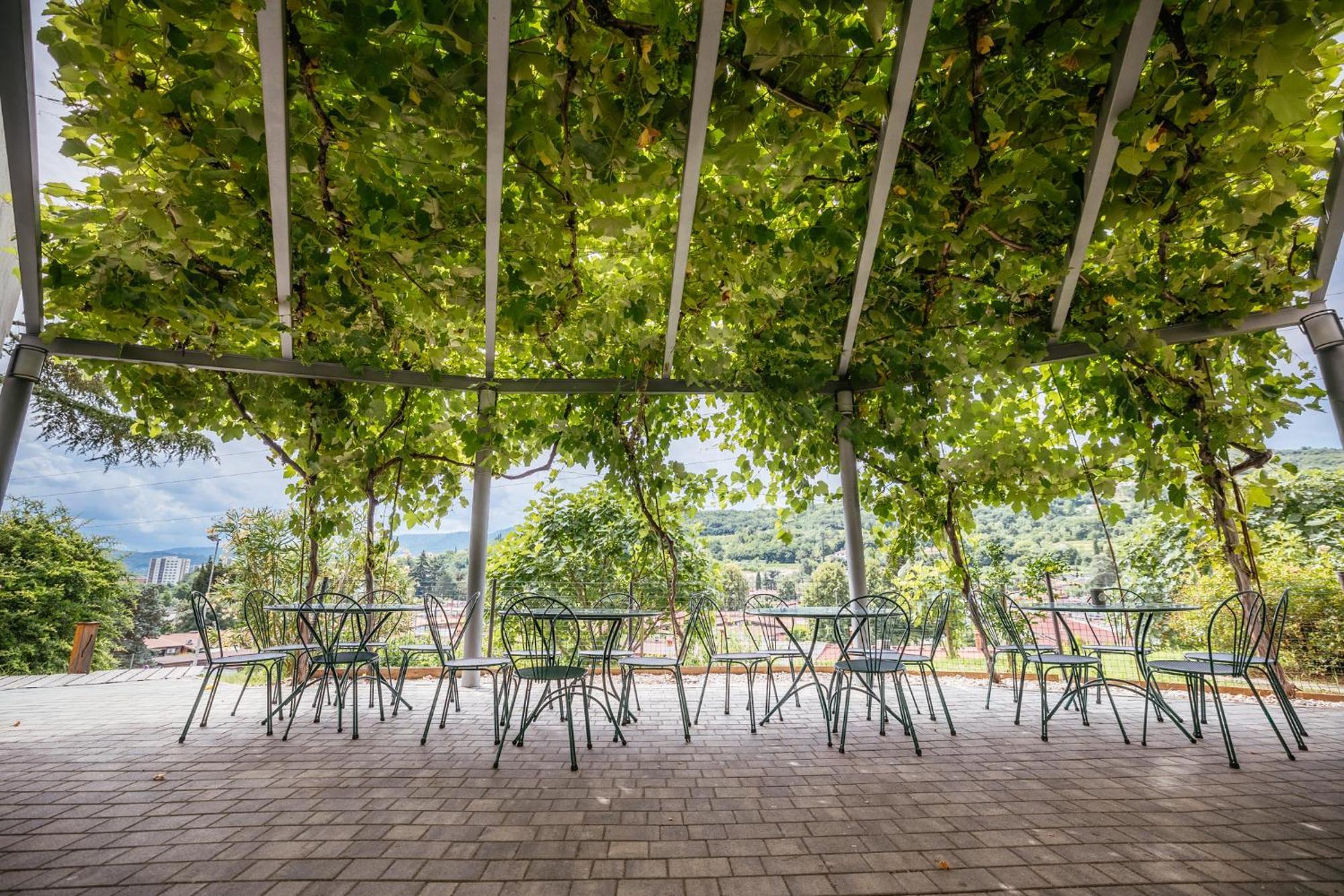 Prenocisca Prisoje Hostel Koper Bagian luar foto